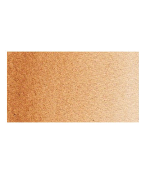 Poussière d'étoile