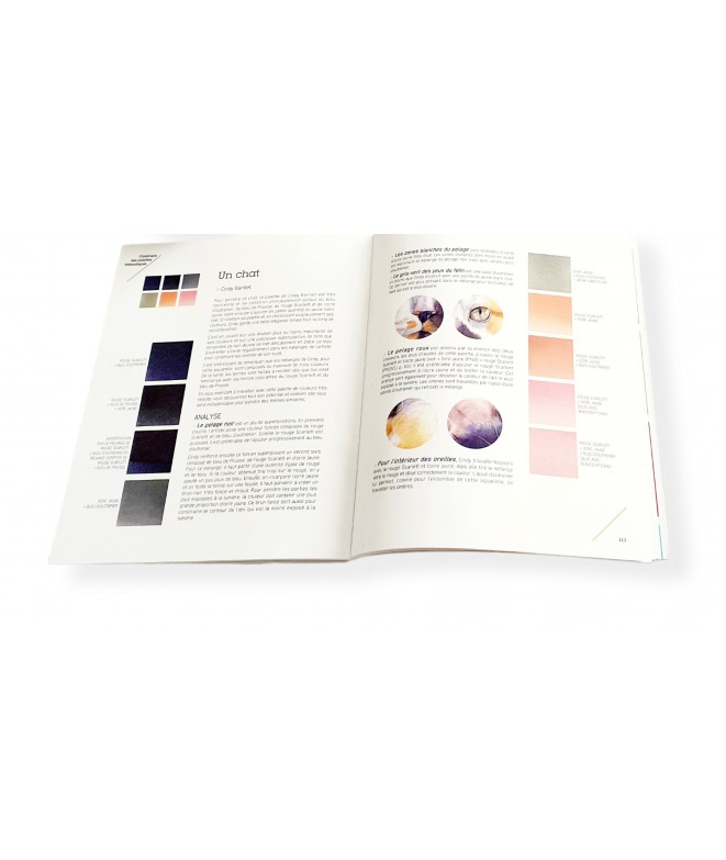 Maîtriser le mélange des couleurs à l'aquarelle